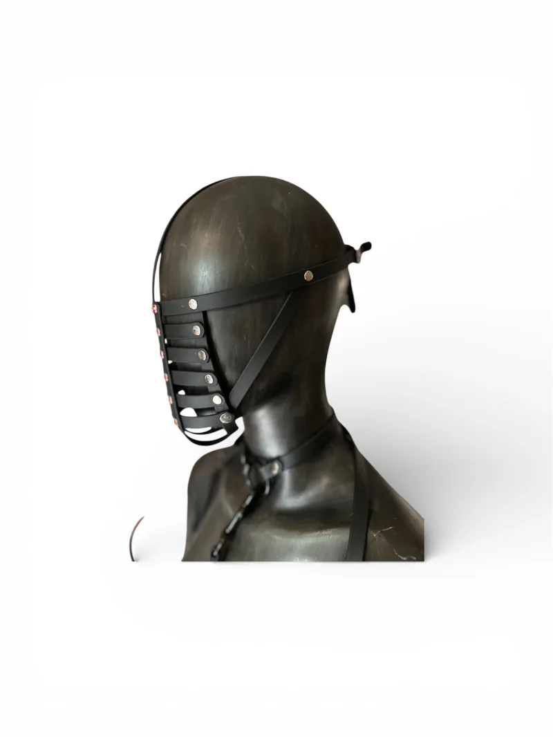 Maske Crimson Grid Red Strass